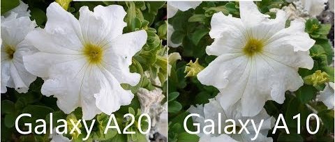 دوربین گوشی a10 بهتر است یا a20 ؟