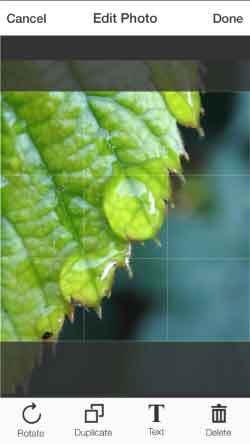 Flipagram برنامه کلیپ ساز برای ایفون